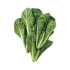 有機蚵仔白菜 每袋約 250g±10% @22#4717546220309