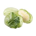 日本群馬高麗菜(每顆約 1kg±10%) 1 顆 @22#2422003338016