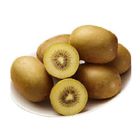 Zespri SunGold Kiwi (Small) 5 Pieces