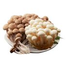 有機雙享菇 150g/盒 @22#4713331921895