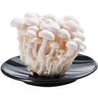 雪白菇 100g #4985761100021