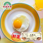 土雞兒-放牧土雞蛋 10 入/盒