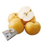 寶島甘露梨禮盒 (每盒 5 入/約 4kg±10%) 1 盒 @22#2422190203012