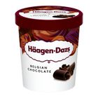哈根達斯品脫比利時巧克力冰淇淋 392g