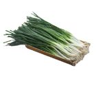 履歷青蔥(每袋約 200g±10%) @22#4713170894152