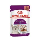【ROYAL 法國皇家】皇家饗宴多元口感主食濕糧SFW 85g #8941