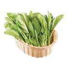 有機山菠菜 300g /袋 @22#2422000748016