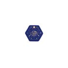 【鎮瀾宮】斗姥元君皮製護身符-消災延壽 ( 含過爐加持+八卦符令+精美盒裝) 1 入