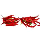 小紅辣椒-常溫 300-400g