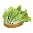 Taiwan Baby Bok Choy Approximately 500g
