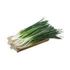 Traceable Green Onions Approximately 200g±10% Per Bag @22#4713170894152