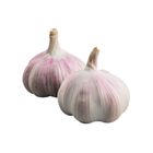 有機轉型期蒜頭(每袋約200g) 1 袋 @22#2422030198010