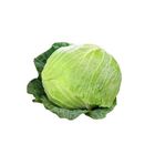 有機(有機轉)高麗菜M 900-1100g/顆