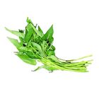 有機空心菜(蕹菜) 250g