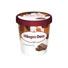 HaagenDazs哈根達斯 巧克力品脫杯 1Bucket桶 x 473ml @15#0074570334223