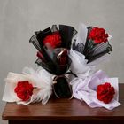 Single Red Carnation Random 15 x 30 x 15cm 1 Bouquet