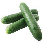 胡瓜(每條約500g±10%) 1 條 @22#2422021016019