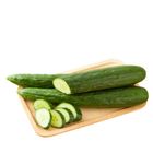 溫室小黃瓜(產銷履歷) (2 入) 約 300g