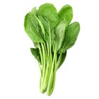 台灣油菜(每袋約250g) 1 袋 @22#2422000112015