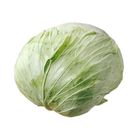 台灣高麗菜 約 1kg