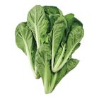 有機蚵仔白菜 (每袋約 250g±10%) 1 袋 @22#4717546220309