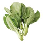 有機青江菜 300g/袋 @22#4711182146511