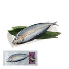 冷凍秋刀魚一夜干 每包約 110g @21#4711481398000