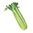 American Celery 600g @22#4711281492403