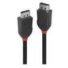 #227145 LINDY DisplayPort 1.2版公to公-2米 1 入