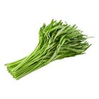 空心菜 250g