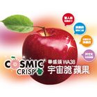 美國宇宙脆蘋果 1 粒 #0202621000005#03/032