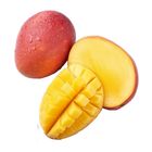 履歷愛文芒果 每盒約 600g @22#2422150160010