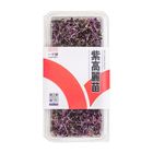 升級版 紫高麗苗(每盒) 約 50g @22#4713037002607
