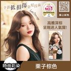 莉婕泡沫染髮劑 栗子棕色 1 入 #4710363709248