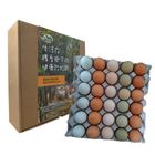 御品園 菇寶蛋(五色珍寶蛋-非籠飼放牧) 1200g @15#4711232020259