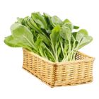 有機小松菜 (每袋約 250g±10%) 1 袋 @22#2422000524016