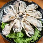 冷凍半殼生蠔 300g @21#4711061639400