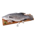 Golden Eye Sea Bass (Box)(Refrigerated) 1 Box @21#2053330000000