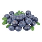 USA Blueberries 125g @22#2422174043016