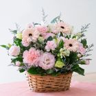 Hualan Morning Pink Table Flower 1 Piece