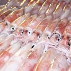 湯瑪仕肉舖澎湖野生船凍小卷 (生) 300±5%g