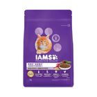 【IAMS愛慕思】愛慕思幼貓與懷孕母貓營養配方 1kg #6590