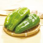 台灣青椒 600g #4717060306114#03/033