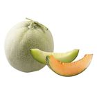 臺灣哈蜜瓜 1.2kg/粒 @22#2021280000007