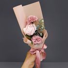 3合1豆沙色康乃馨香皂花束