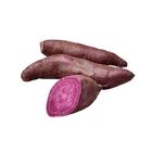 履歷紫心地瓜600g(M) 1 盒 @22#4711281492298