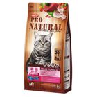 PANTOP 邦比 健康寵糧幼貓成長配方 2kg #4716609945258