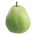 履歷溪州芭樂(袋)-PDC 1kg @22#2422172096014
