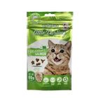 HuluCat Hairball Control Dental Treats-Salmon 60g