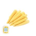優境有機去殼玉米筍 (盒) 150g @22#2422021559011